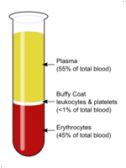 Centrifugation - JungleKey.fr Image